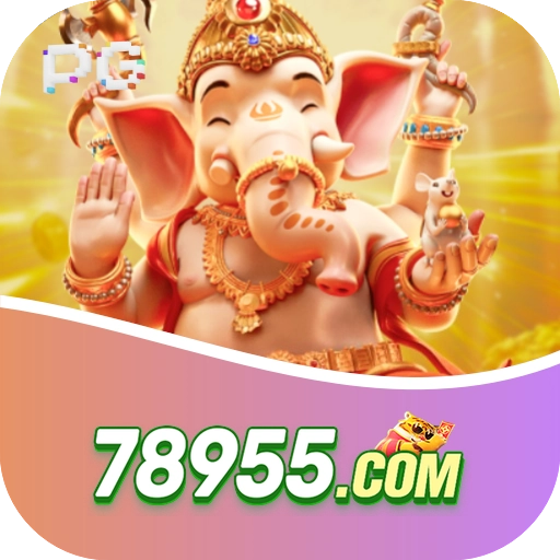 78955.com LOGO
